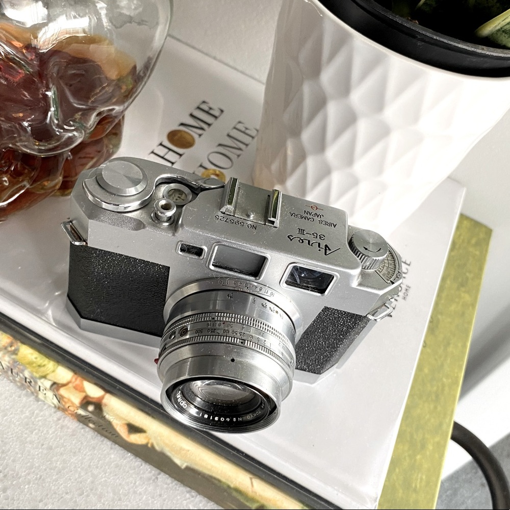 Beautiful Photo Camera Decor